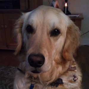 Meet your Posher, Ruff Ruff